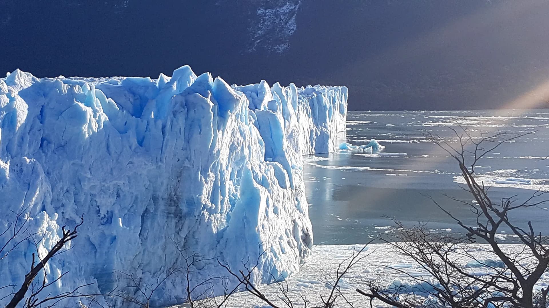 Glaciar Perito Moreno desde las pasarelas (foto 7)