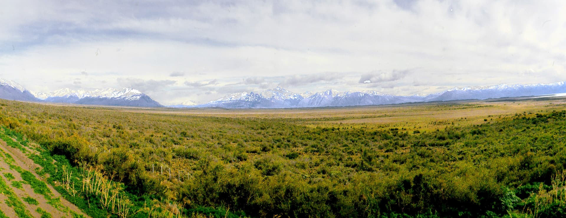 El Calafate y el Lago Argentino