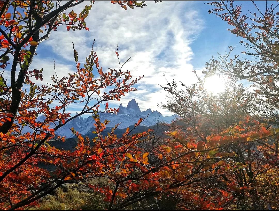 El Chaltén y el Cerro Fitz Roy (foto 11)