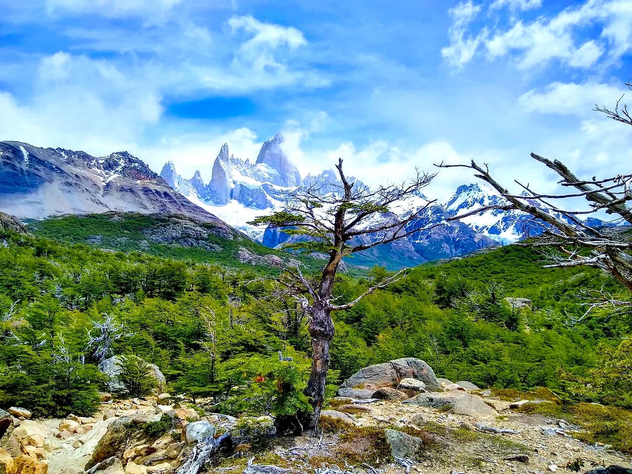 El Chaltén y el Cerro Fitz Roy (foto 4)